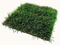 оценка земли оценка земли